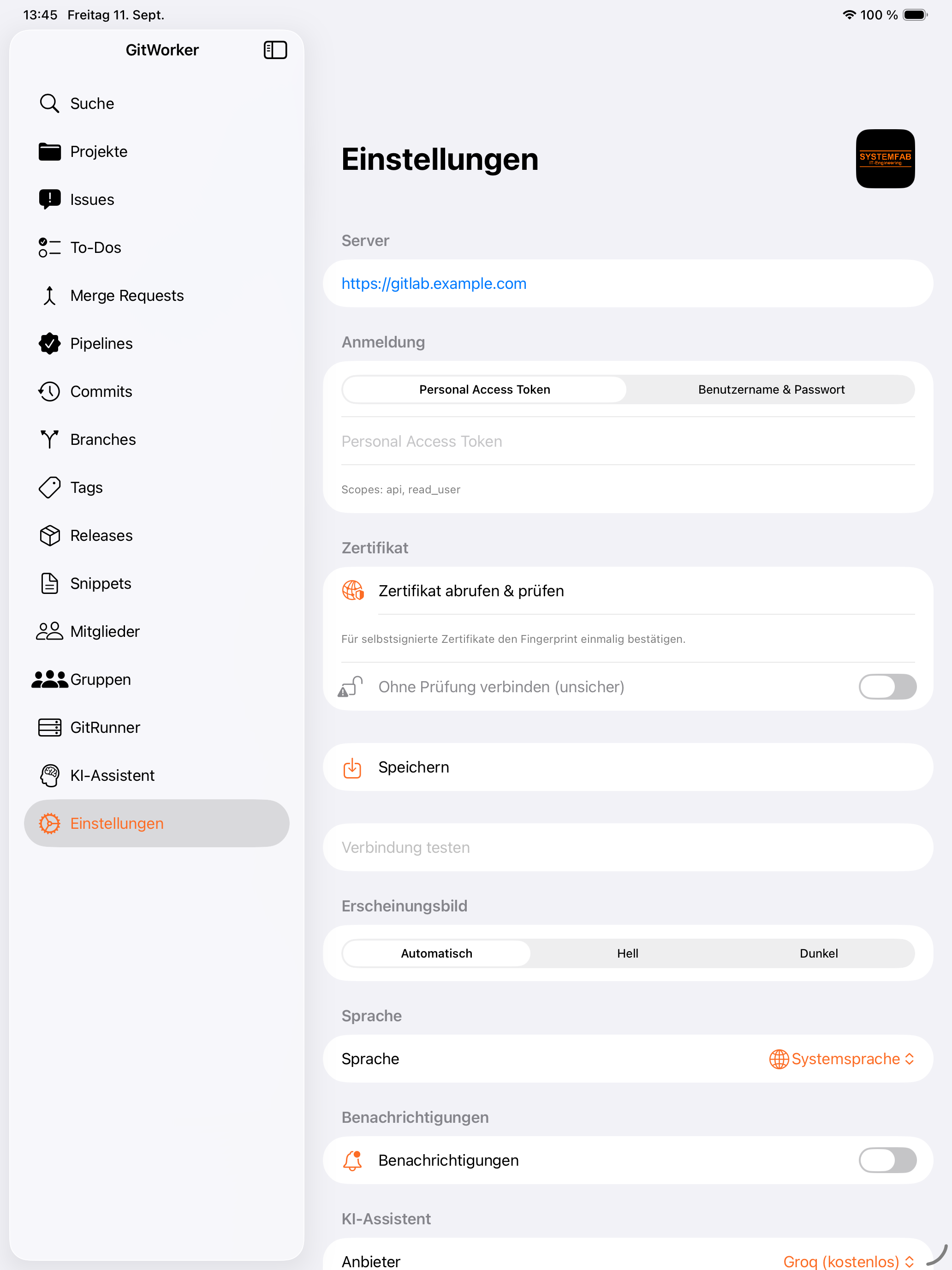 iPad Einstellungen