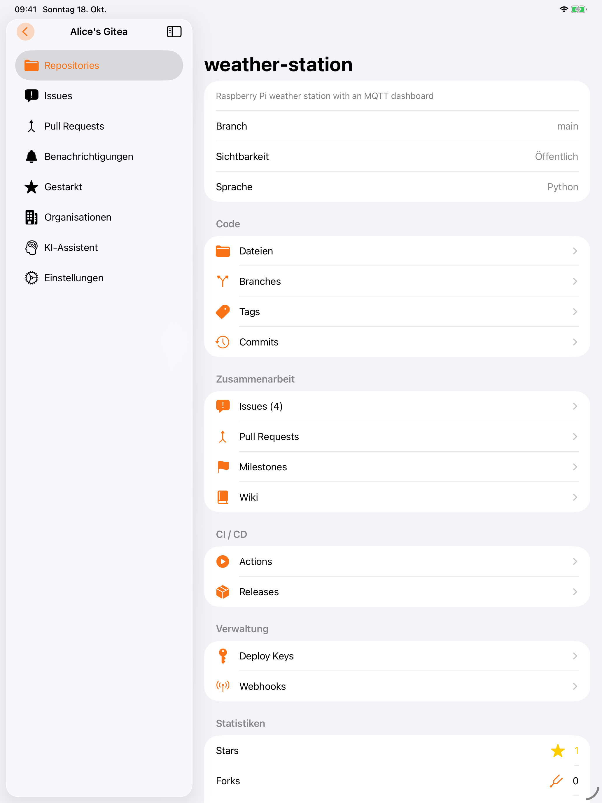 iPad Repository-Detail