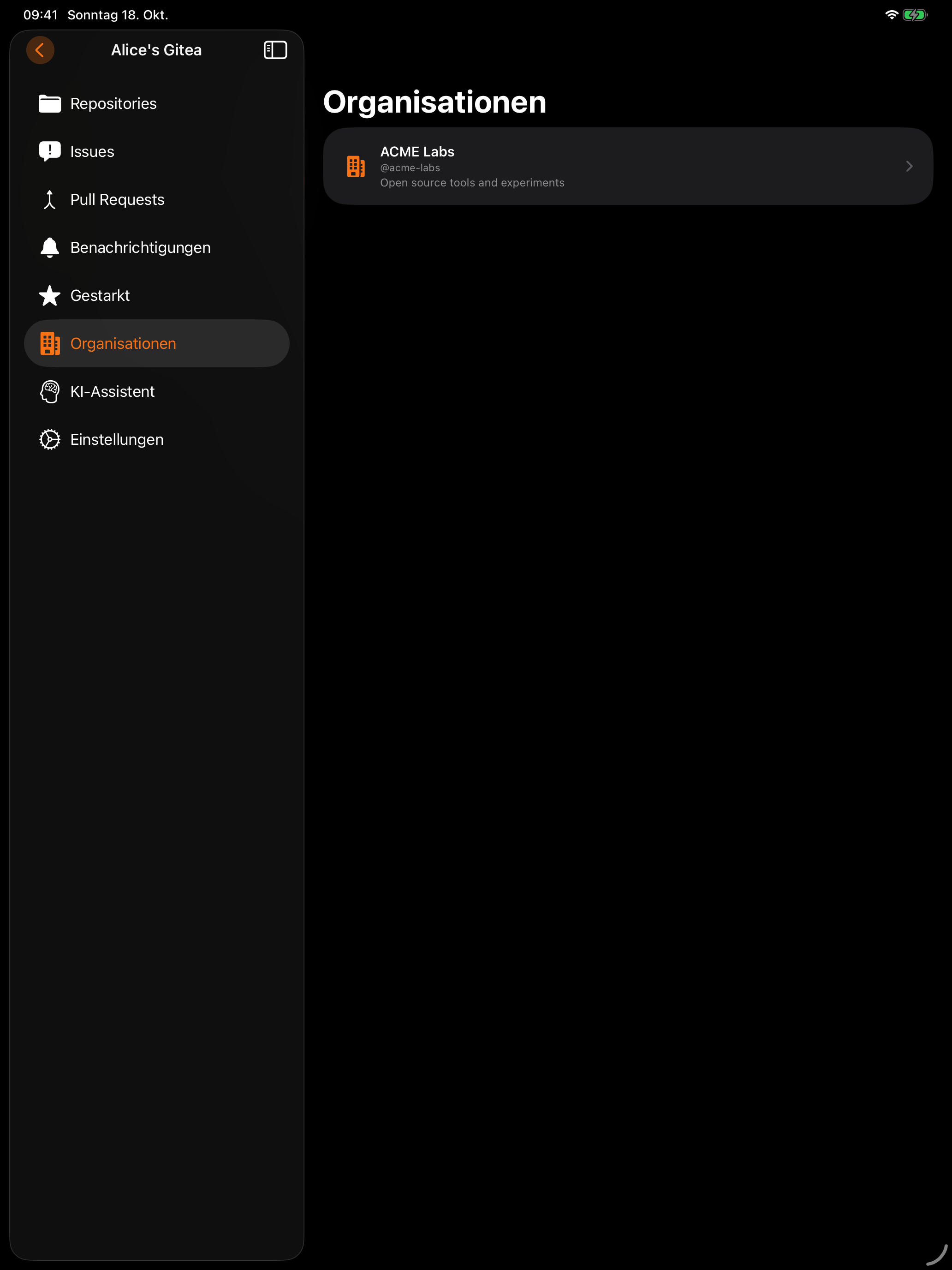 iPad Organisationen Dark